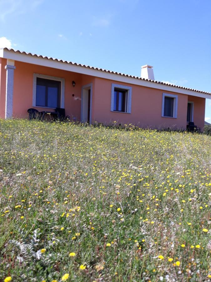 Agriturismo Gli Olivastri, Appartamento La Rosa Dei Venti Con Piscina E Solarium , Vista Mare ,Climatizzatore ,Wifi Aglientu Esterno foto