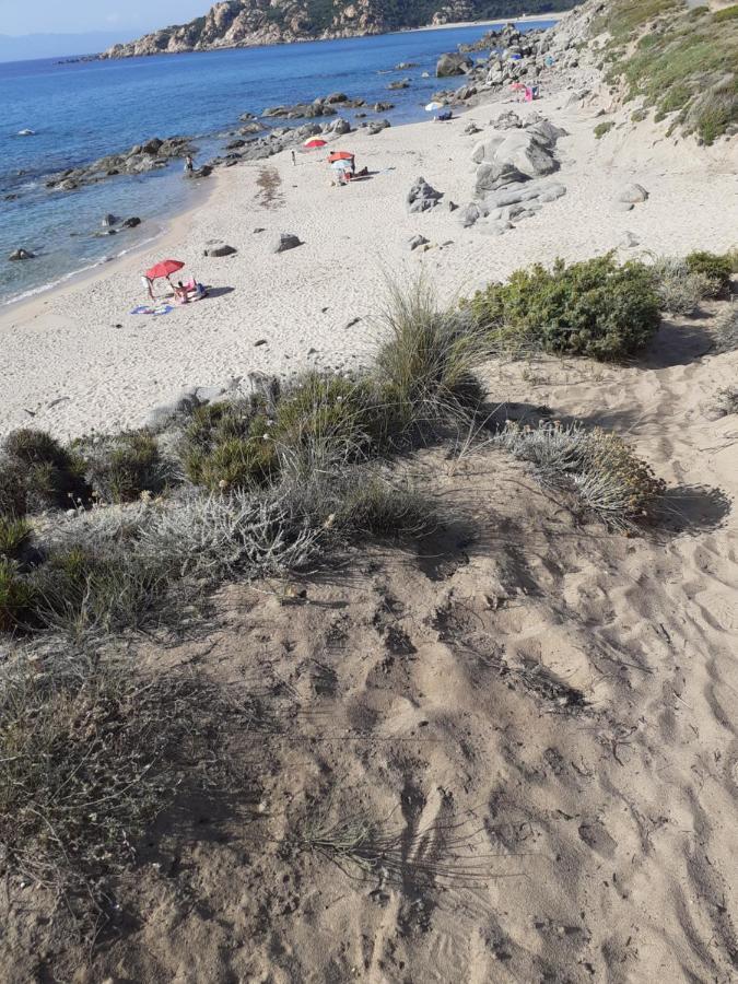 Agriturismo Gli Olivastri, Appartamento La Rosa Dei Venti Con Piscina E Solarium , Vista Mare ,Climatizzatore ,Wifi Aglientu Esterno foto