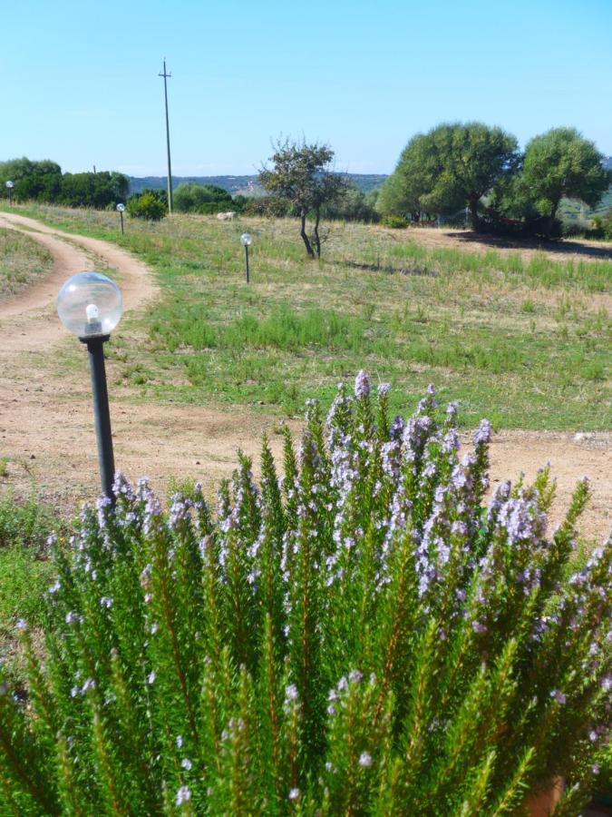 Agriturismo Gli Olivastri, Appartamento La Rosa Dei Venti Con Piscina E Solarium , Vista Mare ,Climatizzatore ,Wifi Aglientu Esterno foto