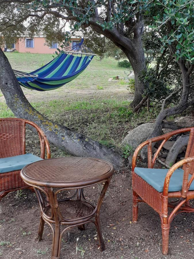 Agriturismo Gli Olivastri, Appartamento La Rosa Dei Venti Con Piscina E Solarium , Vista Mare ,Climatizzatore ,Wifi Aglientu Esterno foto